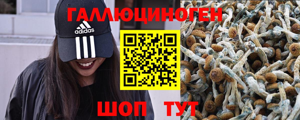 Кондопога  Галлюциногенные грибы MAGIC MUSHROOMS  наркошоп  Вход с VPN 